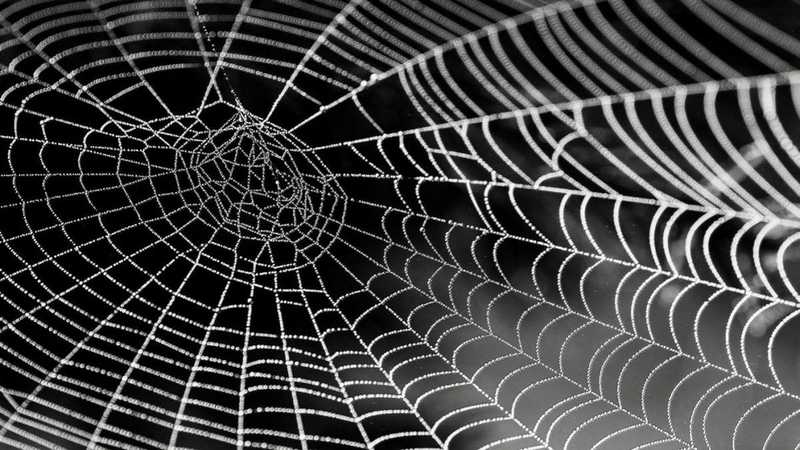 Is Your Strategic Plan Collecting Cobwebs?